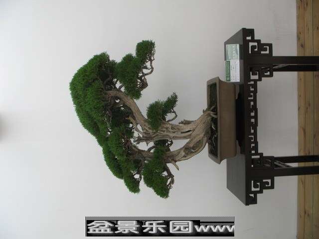 psb (131).jpg