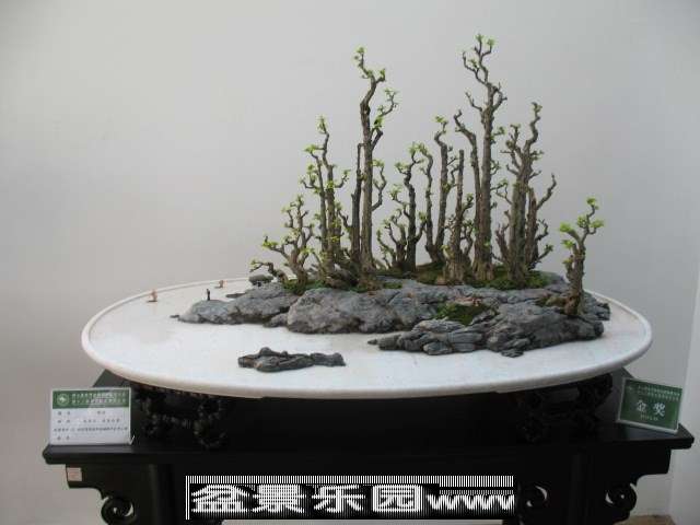 psb (137).jpg