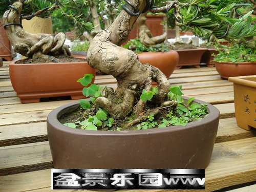 2013-09-27 13.36.18.jpg