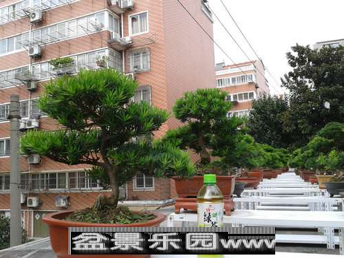 2013-09-27 13.08.37.jpg