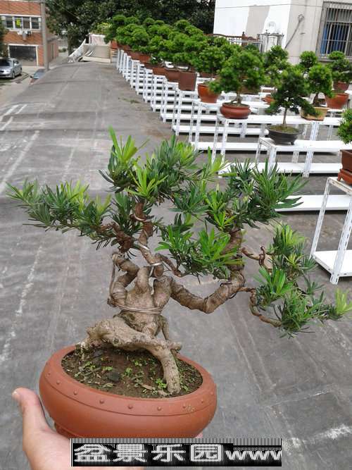 2013-09-27 13.14.52.jpg