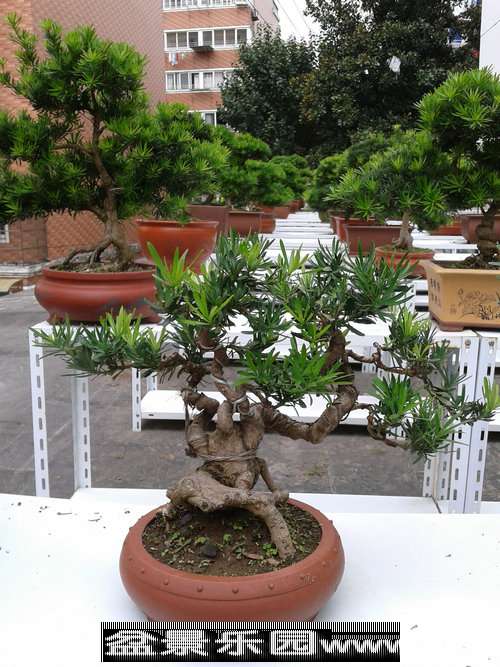 2013-09-27 13.15.46.jpg