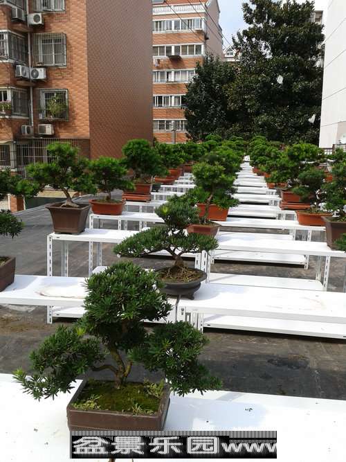 2013-09-27 13.30.04.jpg