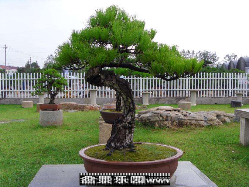 SDC12751.JPG