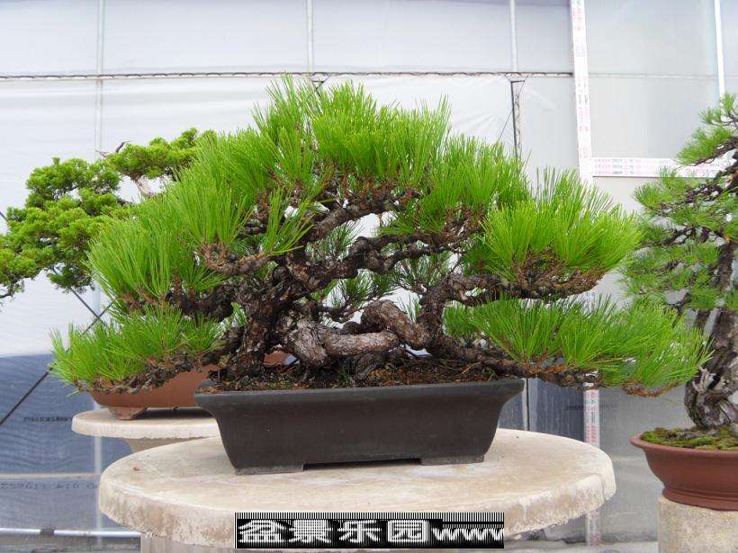 SDC12860.JPG