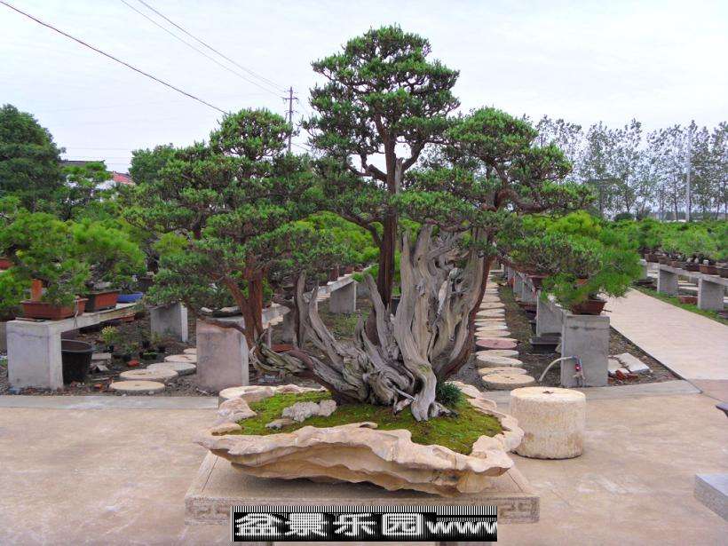 SDC12877.JPG