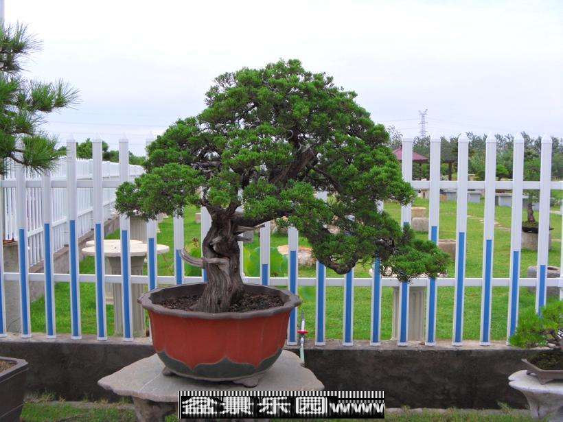 SDC12881.JPG