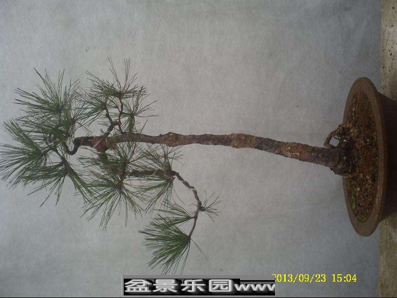 PICT0036.JPG