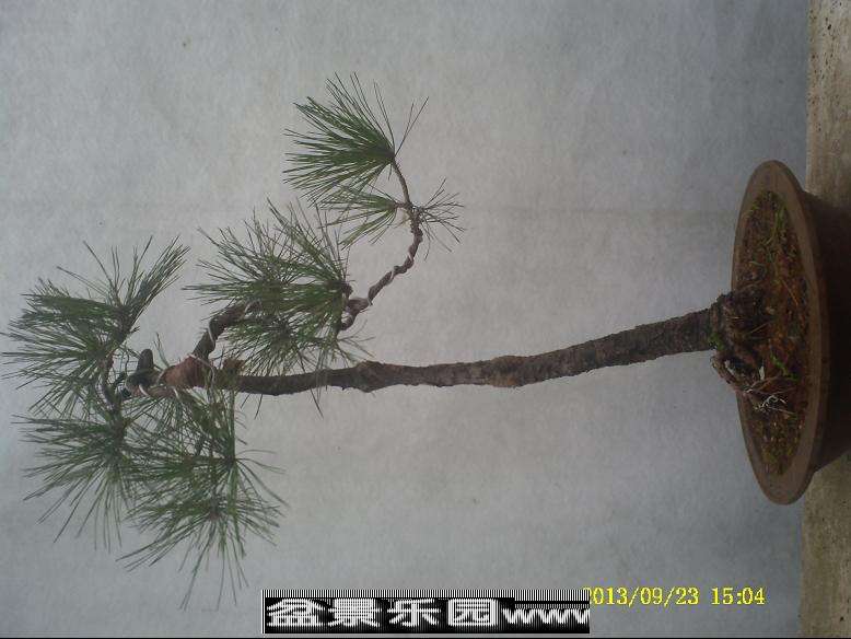 PICT0037.JPG