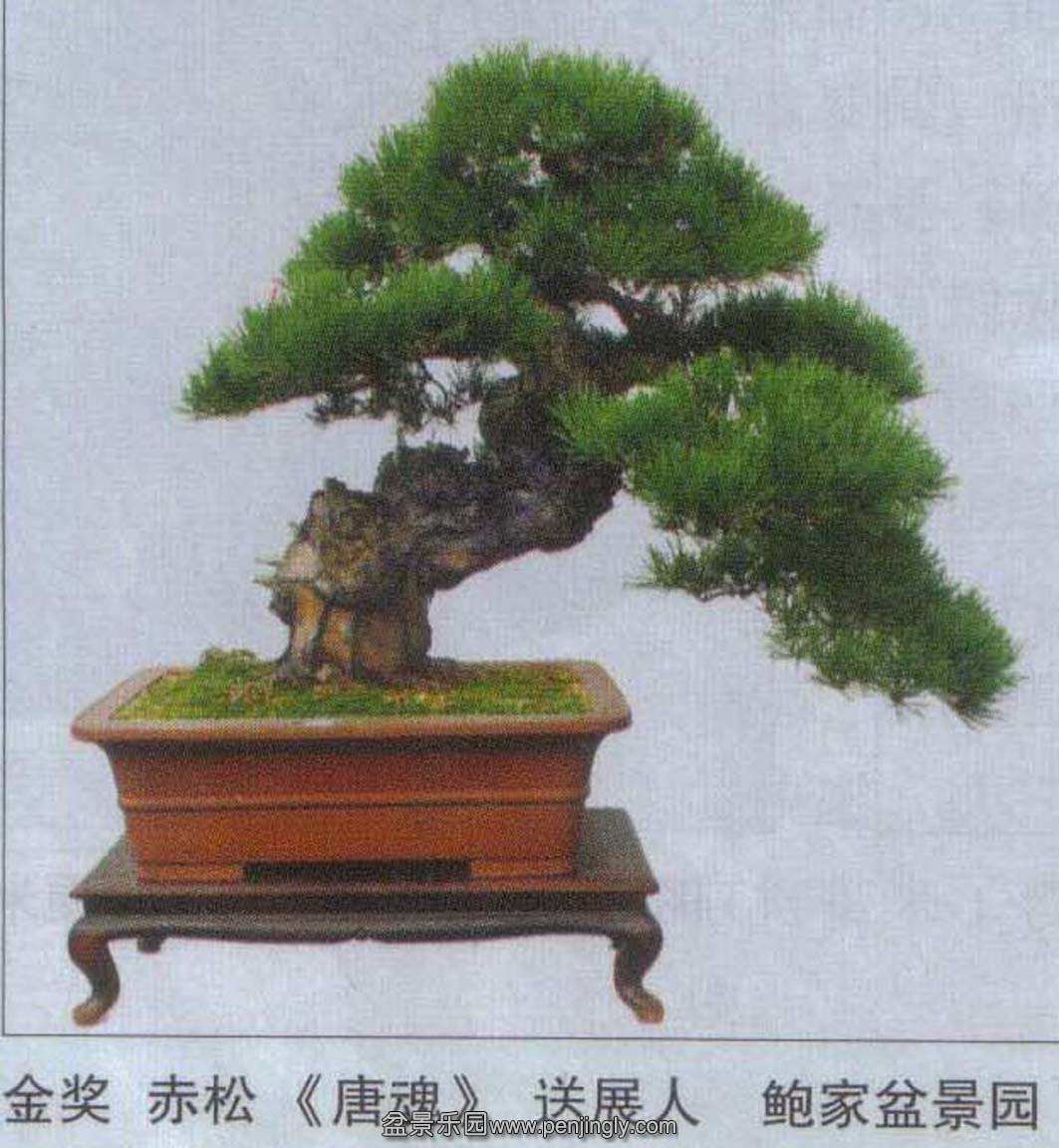 뺼Ȼ԰-.jpg