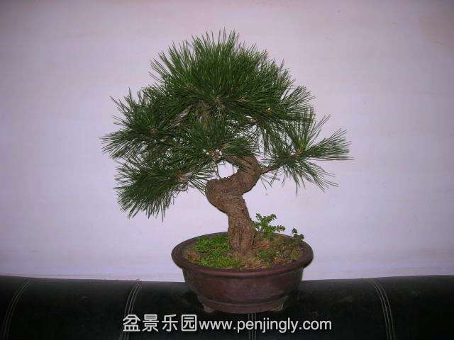DSCN58400001_.jpg