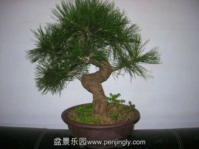 DSCN58410001_.jpg