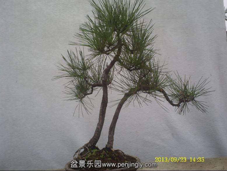 PICT0011.JPG