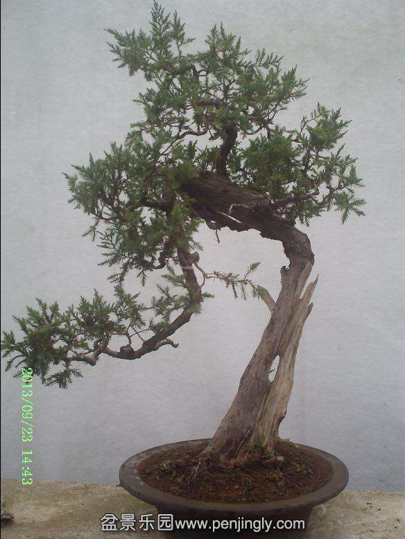 PICT0019.JPG
