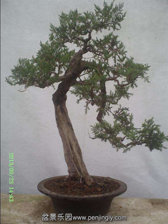 PICT0018.JPG