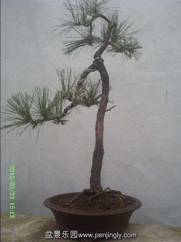 PICT0038.JPG