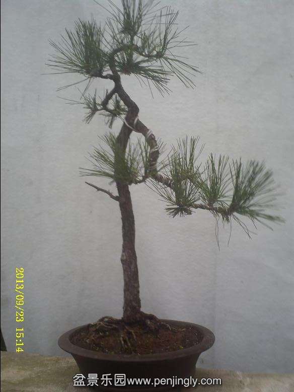 PICT0039.JPG