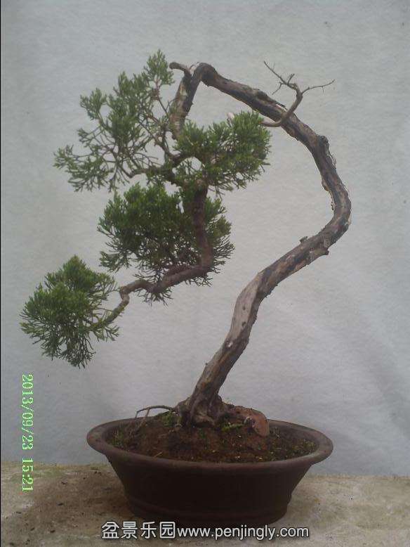 PICT0040.JPG