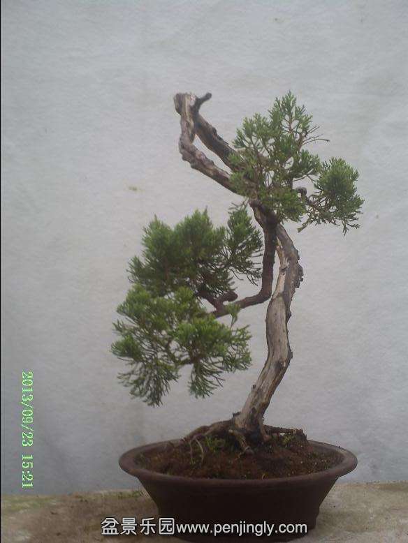 PICT0041.JPG
