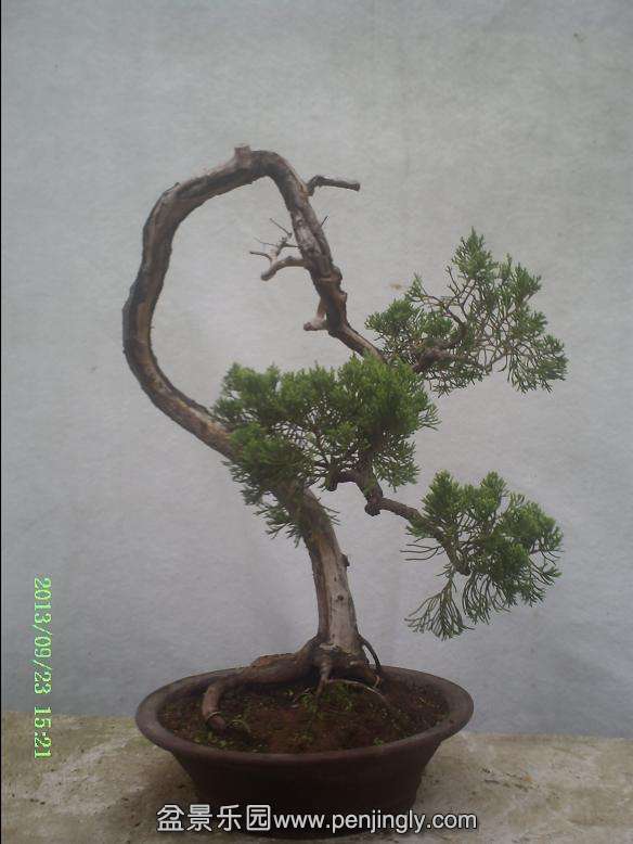 PICT0042.JPG