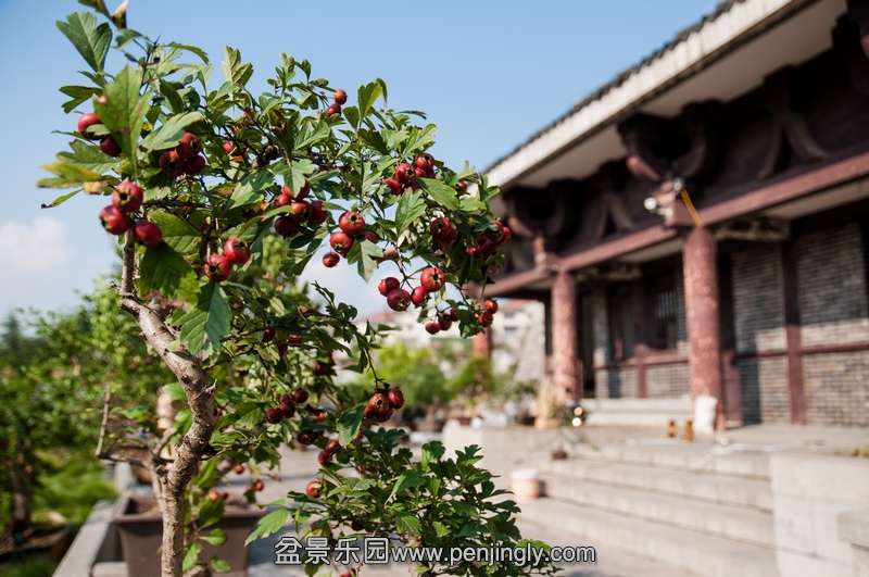 20130928-DSC_0054.jpg
