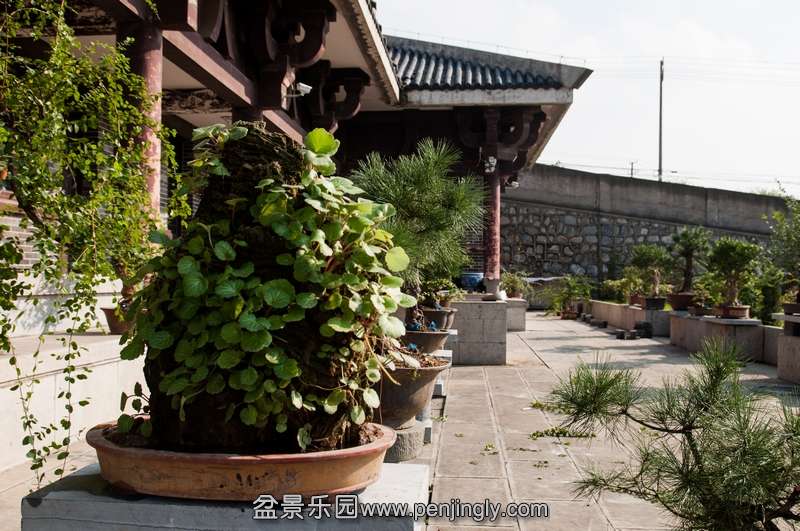 20130928-DSC_0050.jpg