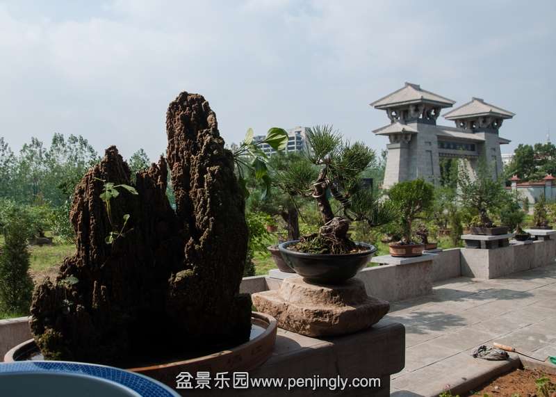 20130929-DSC_0003.jpg