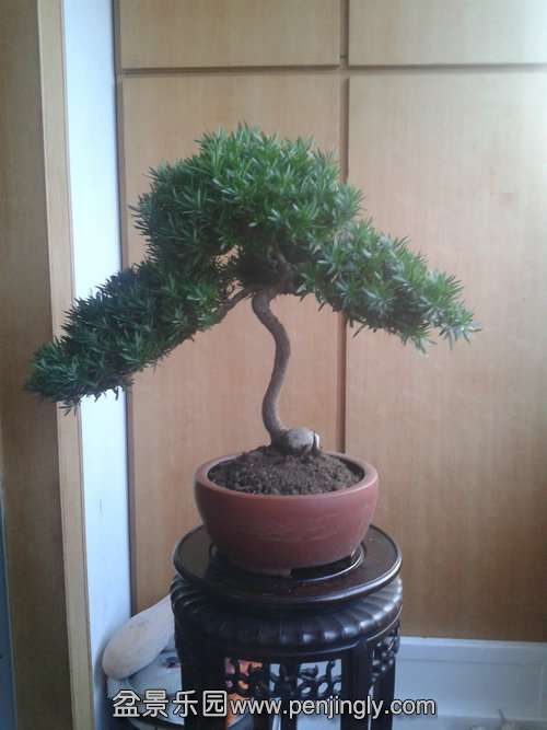 2013-09-29 17.22.43.jpg