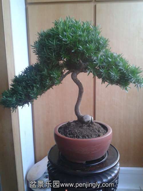 2013-09-29 17.22.50.jpg