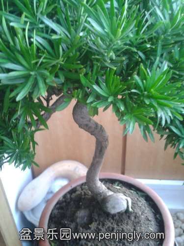 2013-09-29 17.21.21.jpg