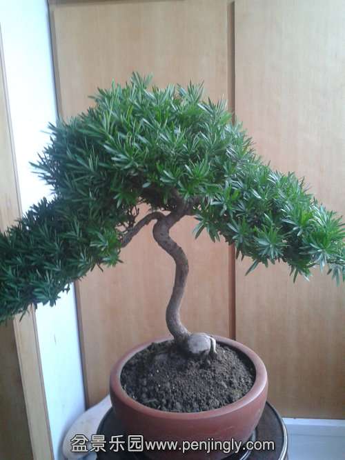 2013-09-29 17.22.01.jpg