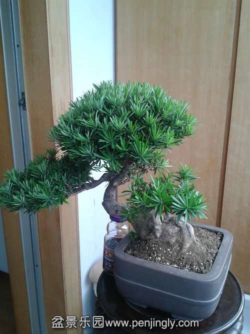 2013-09-29 16.32.01.jpg