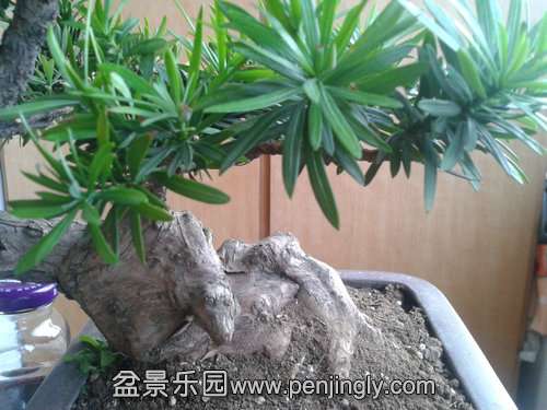 2013-09-29 16.32.12.jpg