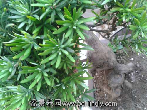 2013-09-29 16.34.01.jpg