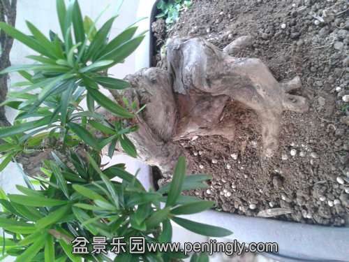 2013-09-29 16.34.30.jpg