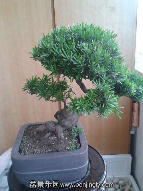 2013-09-29 16.35.38.jpg