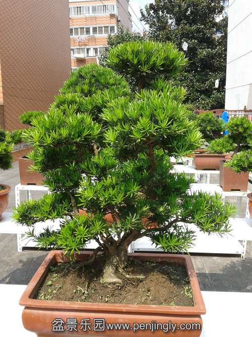 2013-09-29 12.16.26.jpg