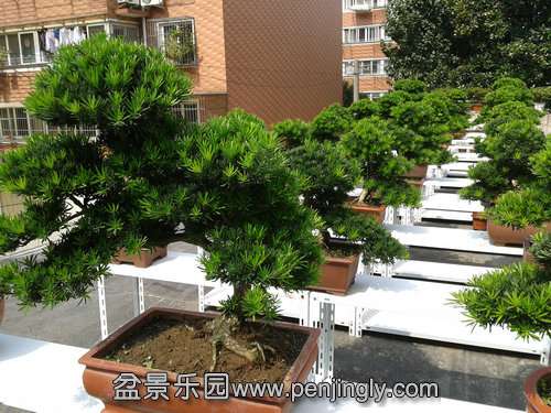 2013-09-29 12.20.14.jpg