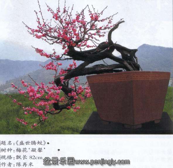 --÷辰ľ10-12 .jpg