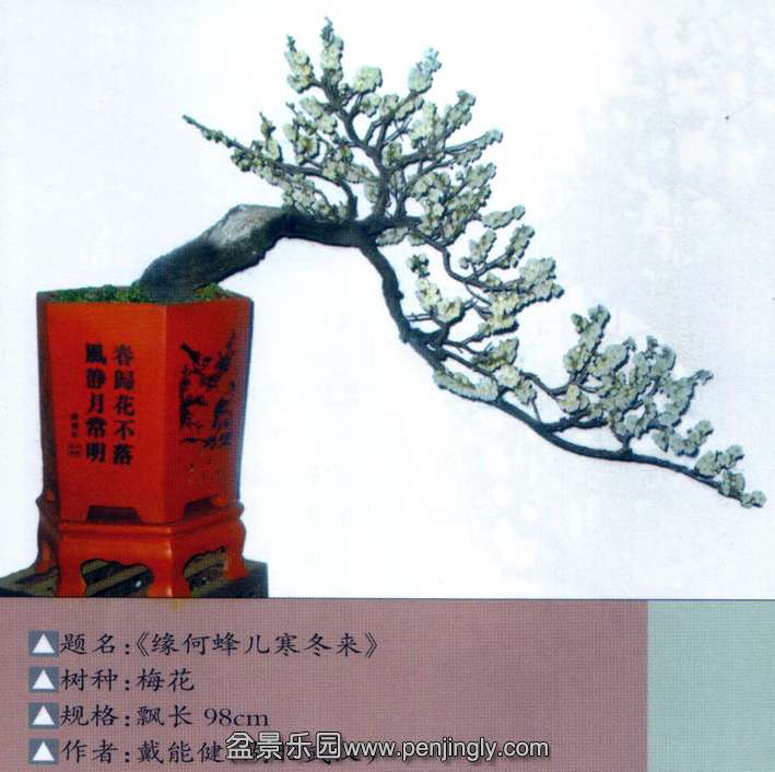 ܽ-÷.jpg