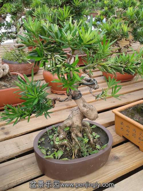2013-09-29 13.00.30.jpg