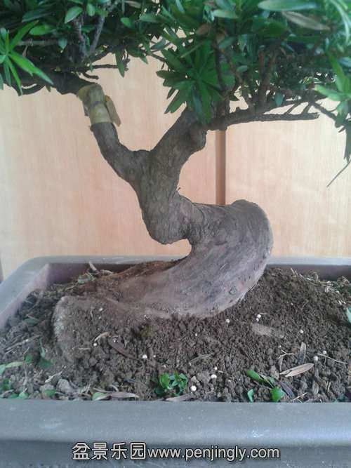 2013-09-29 17.07.30.jpg