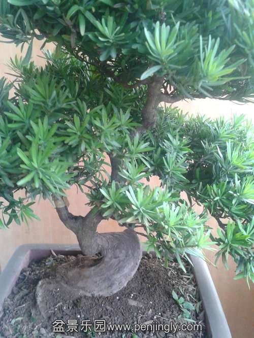 2013-09-29 17.07.41.jpg