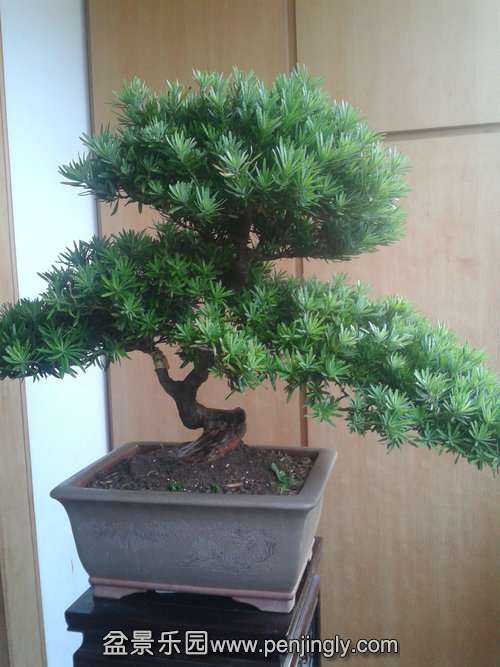 2013-09-29 17.10.12.jpg