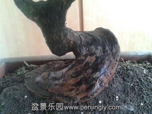 2013-09-29 17.10.57.jpg