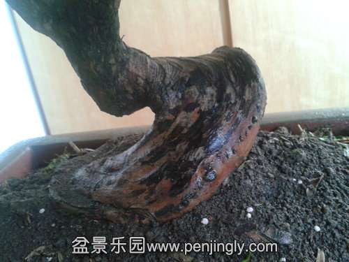 2013-09-29 17.11.16.jpg