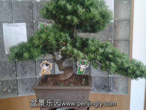 2013-09-29 17.04.29.jpg