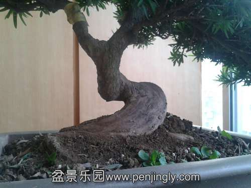 2013-09-29 17.06.01.jpg