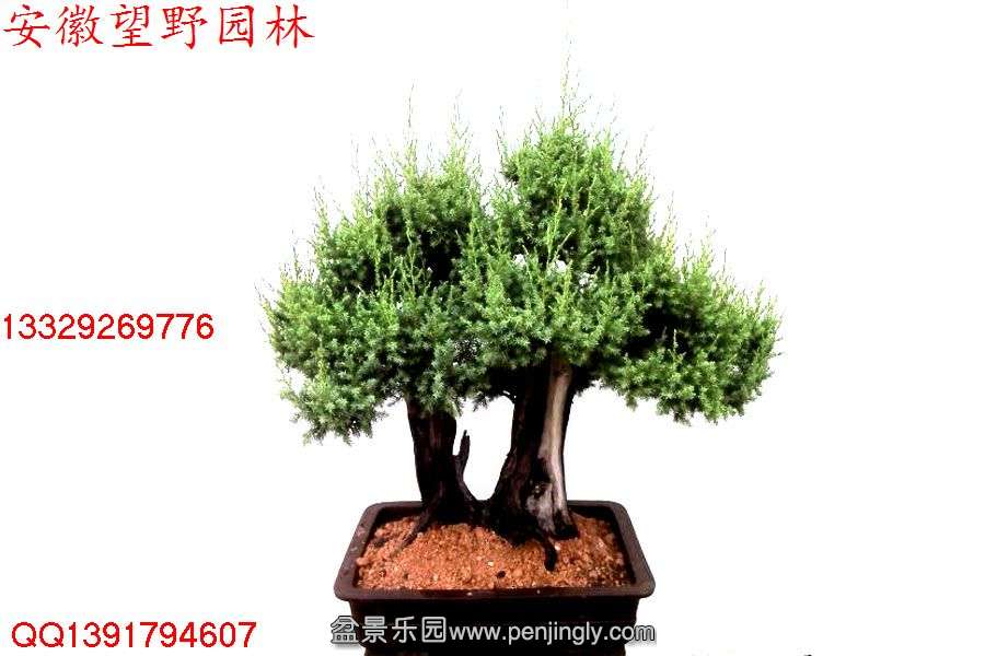 1380429581593.jpg