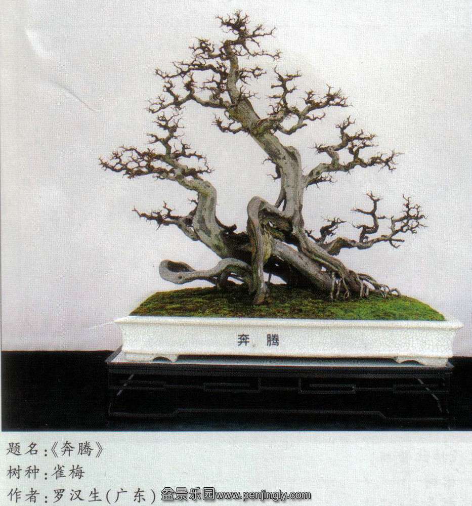 8̫չ-޺-ȸ÷.jpg